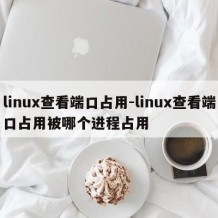 linux查看端口占用-linux查看端口占用被哪个进程占用
