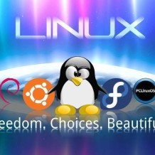 linuxshell(linux shell编程)