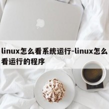 linux怎么看系统运行-linux怎么看运行的程序