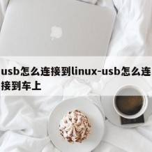 usb怎么连接到linux-usb怎么连接到车上