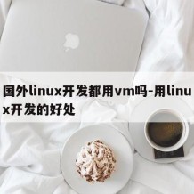国外linux开发都用vm吗-用linux开发的好处