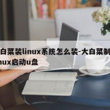大白菜装linux系统怎么装-大白菜制作linux启动u盘