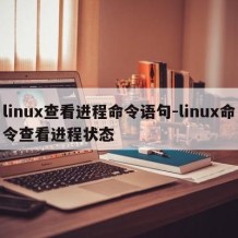 linux查看进程命令语句-linux命令查看进程状态