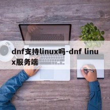dnf支持linux吗-dnf linux服务端